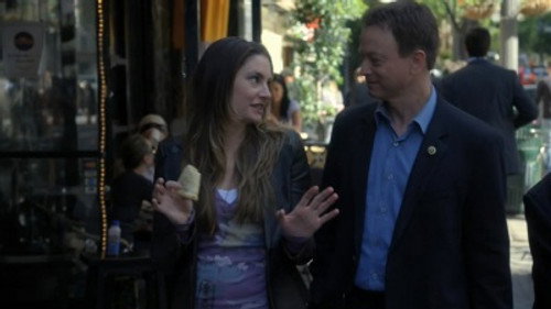 CSI: NY - S6E21: Unusual Suspects