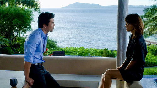Hawaii Five-0 - S5E14: Powehiwehi (Blackout)