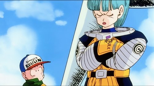 Dragon Ball Z - S1E38: Nursing Wounds