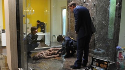 Bones - S6E10: The Body in the Bag