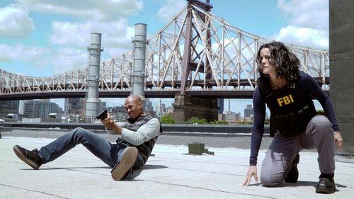 Blindspot - S2E2: Heave Fiery Knot