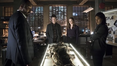 The Flash - S1E19: Who Is Harrison Wells?