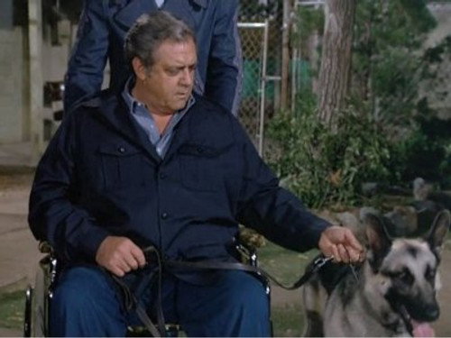 Ironside - S6E3: Programmed for Panic