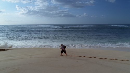 Lost - S1E18: Numbers