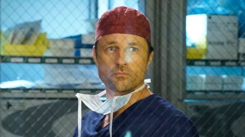 Grey's Anatomy - S12E23: At Last
