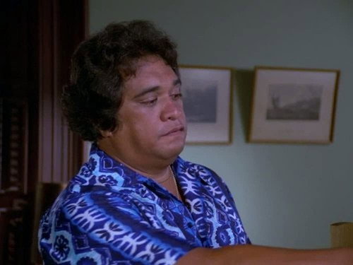 Hawaii Five-O - S12E4: Though The Heavens Fall