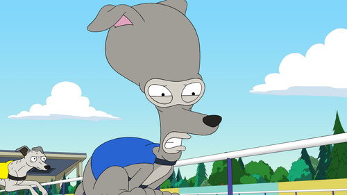 American Dad! - S15E21: Fleabiscuit