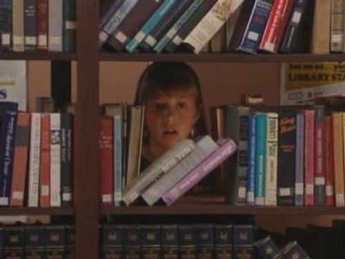 Full House - S7E10: The Prying Game