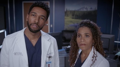 Grey's Anatomy - S19E14: Shadow of Your Love
