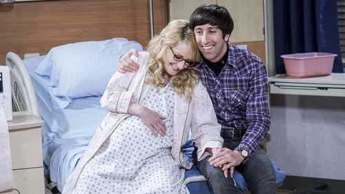 The Big Bang Theory - S10E11: The Birthday Synchronicity
