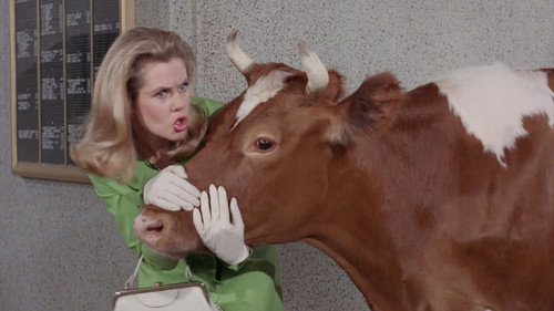 Bewitched - S3E20: The Corn is as High as a Guernsey's Eye