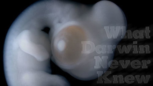 NOVA - S37E8: What Darwin Never Knew