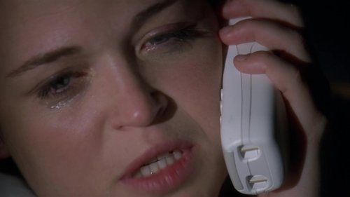 Law & Order: Special Victims Unit - S10E21: Liberties
