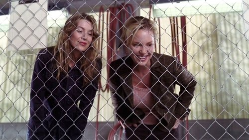 Grey's Anatomy - S2E11: Owner of a Lonely Heart