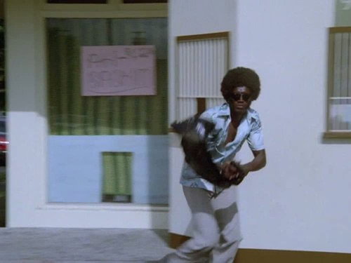 Hawaii Five-O - S12E3: Who Says Cops Don't Cry