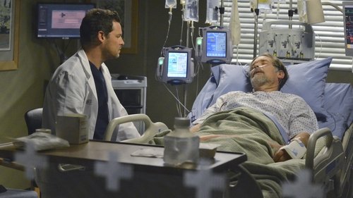 Grey's Anatomy - S10E13: Take It Back