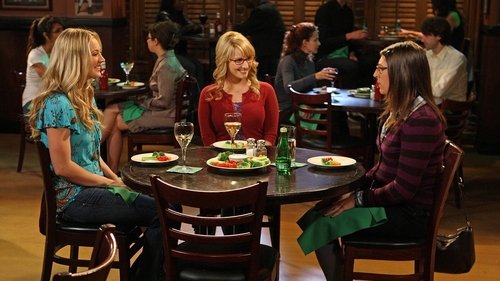 The Big Bang Theory - S4E10: The Alien Parasite Hypothesis
