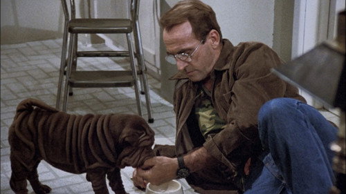 Hill Street Blues - S6E5: Somewhere Over the Rambo