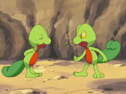 Pokémon - S6E7: Tree's a Crowd