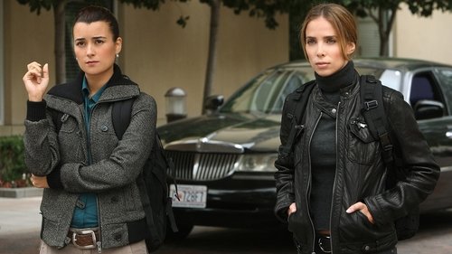 NCIS - S8E8: Enemies Foreign (1)
