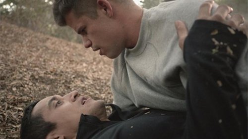 Teen Wolf - S3E19: Letharia Vulpina