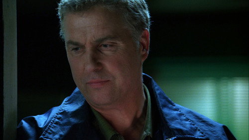 CSI: Crime Scene Investigation - S7E24: Living Doll