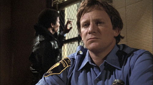 Hill Street Blues - S1E3: Politics as Usual