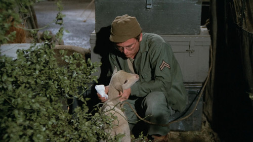 M*A*S*H - S3E14: Private Charles Lamb