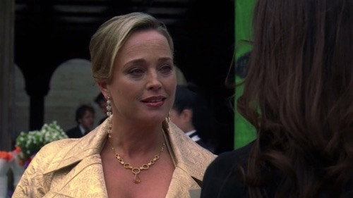 Law & Order - S17E22: The Family Hour