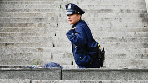 Blue Bloods - S12E9: Firewall