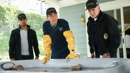 NCIS - S16E2: Love Thy Neighbor