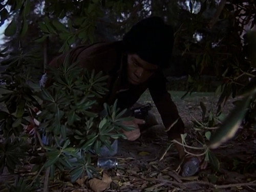 Quincy, M.E. - S7E10: Guns Don't Die