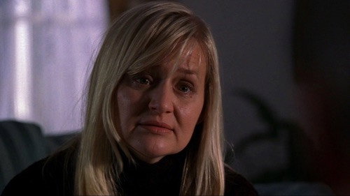 Law & Order - S15E17: License to Kill