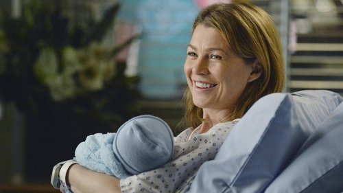 Grey's Anatomy - S9E24: Perfect Storm
