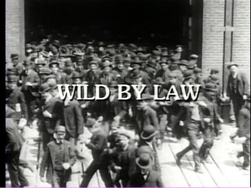 American Experience - S4E11: Wild by Law