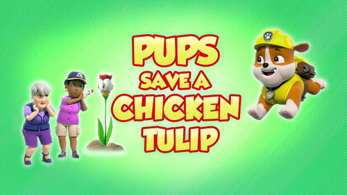PAW Patrol - S8E31: Pups Save a Chicken Tulip