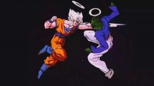 Dragon Ball Z - S7E5: Goku vs. Pikkon
