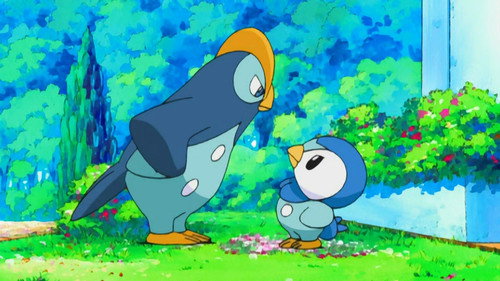 Pokémon - S10E26: Getting the Pre-Contest Titters!
