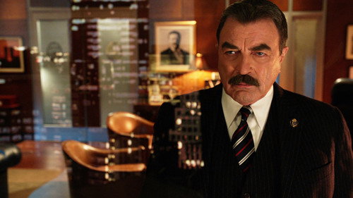 Blue Bloods - S6E13: Stomping Grounds