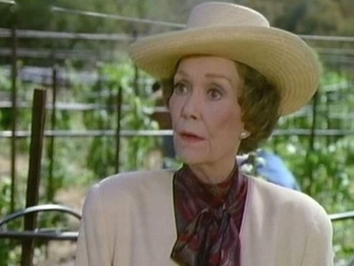 Falcon Crest - S8E1: Changing Times