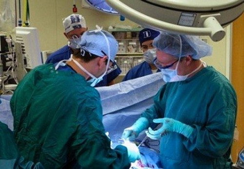 NOVA - S36E15: Doctors' Diaries Pt.1