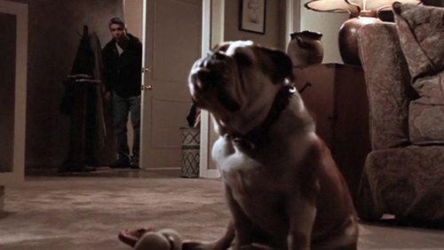 Chicago Hope - S5E21: And Baby Makes 10