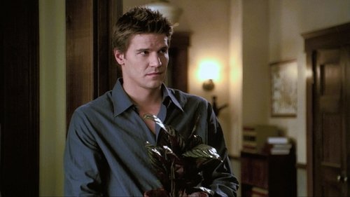 Angel - S1E4: I Fall to Pieces