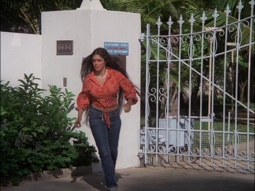 Hawaii Five-O - S8E12: The Waterfront Steal