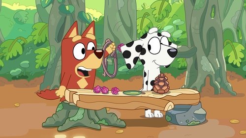 Bluey - S1E23: Shops