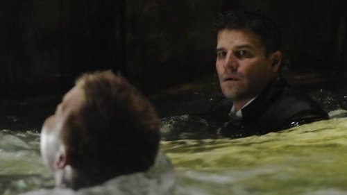 Bones - S4E14: The Hero in the Hold