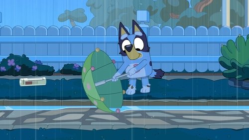 Bluey - S3E18: Rain