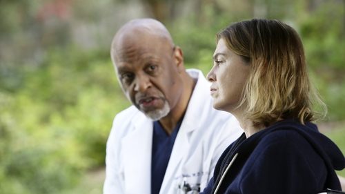 Grey's Anatomy - S12E9: The Sound of Silence