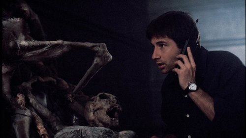 The X-Files - S2E25: Anasazi (1)