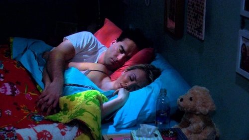 The Big Bang Theory - S3E14: The Einstein Approximation